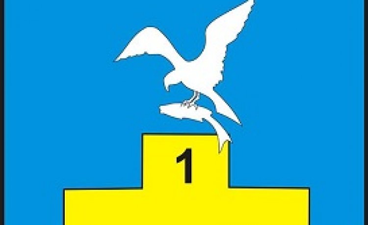 źródło: www.facebook.com/mosirsopot/photos/a.428485370534997.113061.428483413868526/734277603289104/?type=1&theater