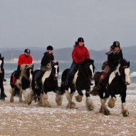 źródło: www.facebook.com/StajniaIhaha/photos/a.327821950597649.73549.240235306022981/642915305754977/?type=3&theater