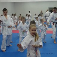 źródło: www.facebook.com/lublin.karate/photos/a.473730142768222.1073741831.458473554293881/473731439434759/?type=3&theater