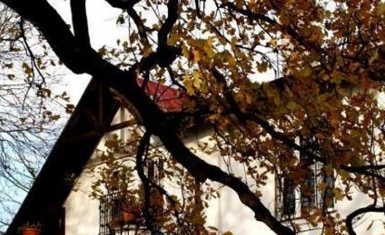 źródło: www.facebook.com/OsrodekKulturyGorna/photos/a.1545636869039948.1073741825.1545636822373286/1779081749028791/?type=1&theater