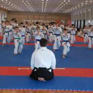 źródło: www.facebook.com/lublin.karate/photos/a.458475324293704.1073741825.458473554293881/458483027626267/?type=1&theater