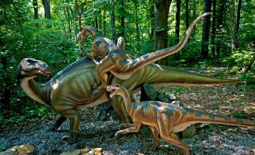 źródło: www.dinopark.malbork.pl/atrakcje-parku/sciezka-edukacyjna