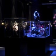 źródło: http://swietokrzyskapolana.pl