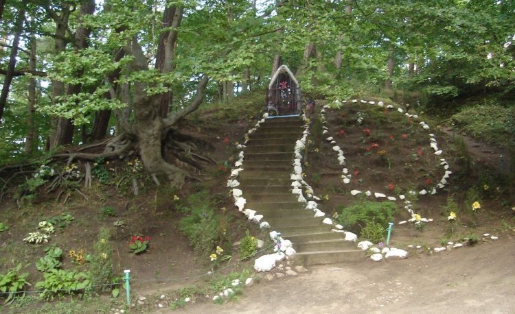 źródło: www.gdynia.pl