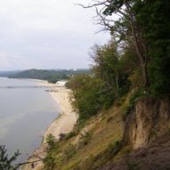 źródło: www.wikipedia.org