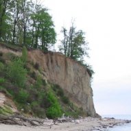 źródło: www.wikipedia.org