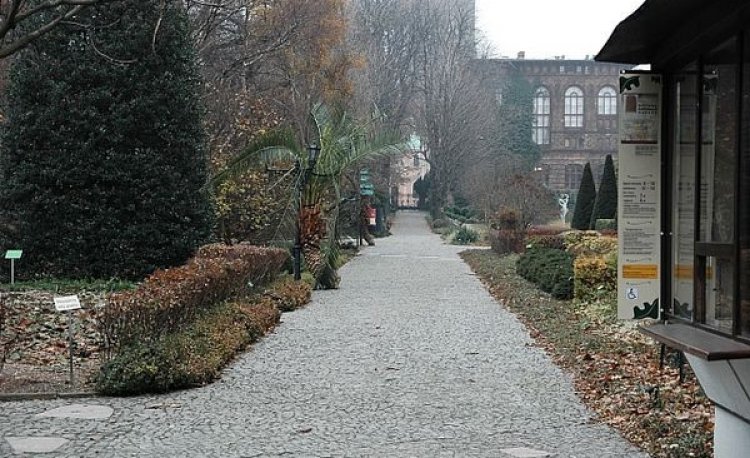 źródło: www.rekreacja.wroc.pl