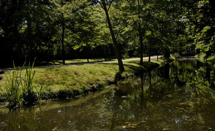 źródło: www.rekreacja.wroc.pl