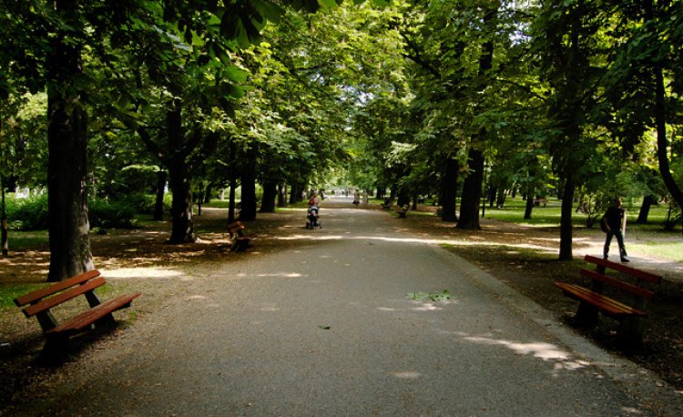 źródło: www.rekreacja.wroc.pl