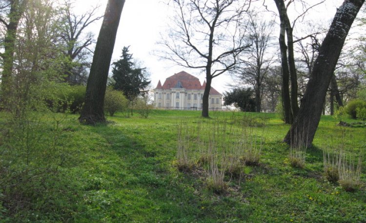 źródło: www.wikipedia.org