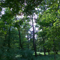 źródło: www.smpopowice.pl