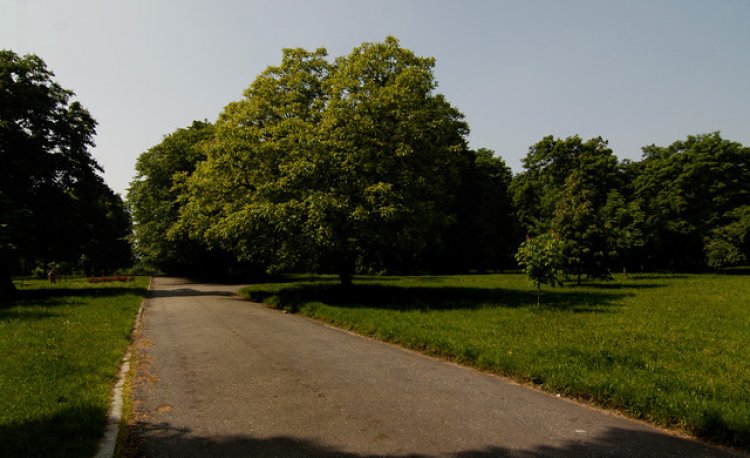 źródło: www.rekreacja.wroc.pl