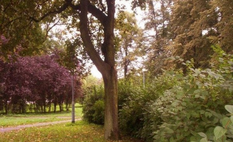 źródło: www.zdiz.gda.pl