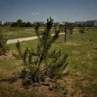źródło: www.rekreacja.wroc.pl