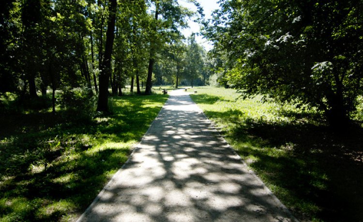 źródło: www.rekreacja.wroc.pl