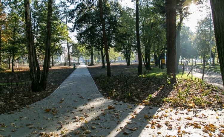 źródło: www.wroclaw.pl