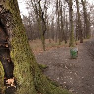 źródło: www.rekreacja.wroc.pl