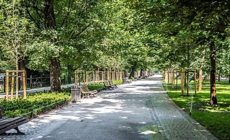 źródło: www.wrocław.pl