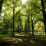 źródło: www.rekreacja.wroc.pl