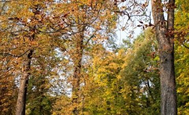 źródło: www.wroclaw.pl