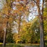 źródło: www.wroclaw.pl