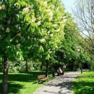 źródło: www.zielona.um.warszawa.pl
