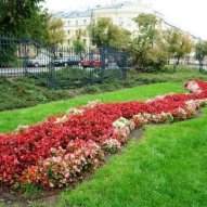 źródło: www.zielona.um.warszawa.pl