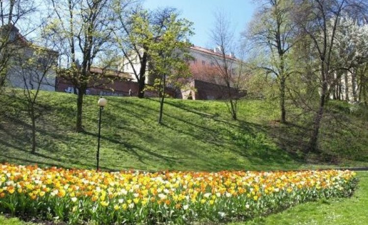 źródło: www.zielona.um.warszawa.pl