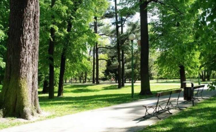 źródło: www.zielona.um.warszawa.pl