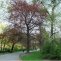źródło: www.um.warszawa.pl