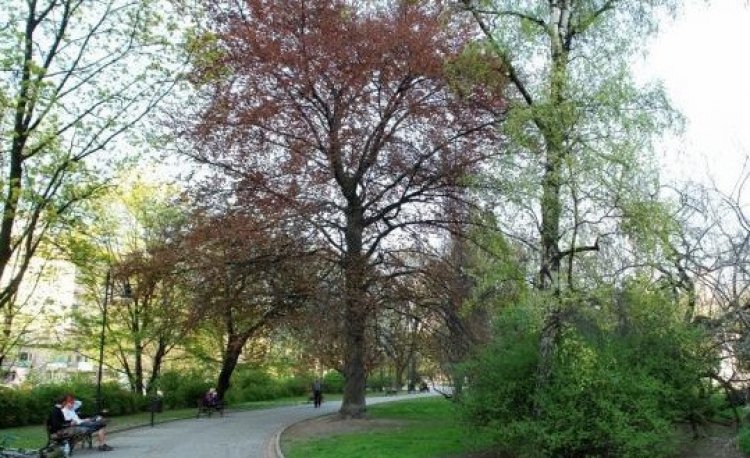 źródło: www.um.warszawa.pl