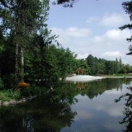 źródło: www.zielona.um.warszawa.pl