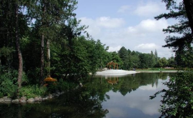 źródło: www.zielona.um.warszawa.pl