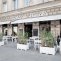 źródło: http://www.trattoriarucola.pl