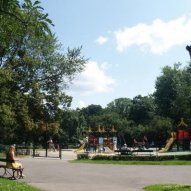 źródło: www.zielona.um.warszawa.pl