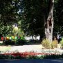 źródło: www.lublin.eu