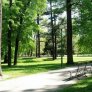 źródło: www.zielona.um.warszawa.pl