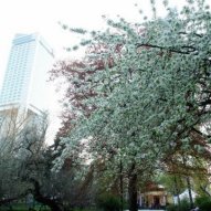 źródło: www.um.warszawa.pl