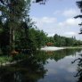 źródło: www.zielona.um.warszawa.pl