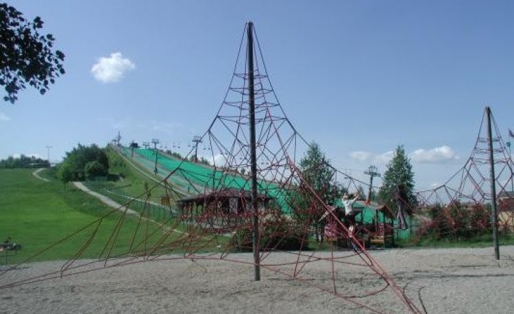 źródło: www.zielona.um.warszawa.pl