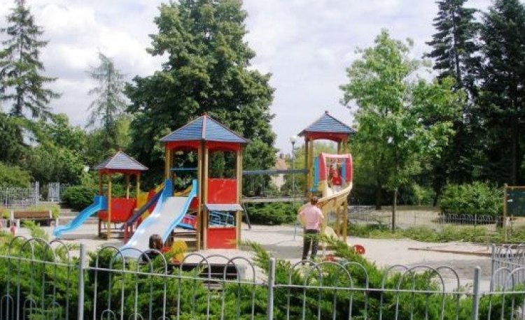 źródło: www.zielona.um.warszawa.pl